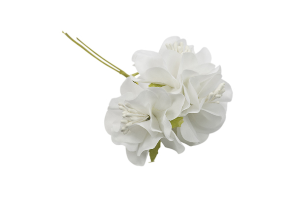 Fiori