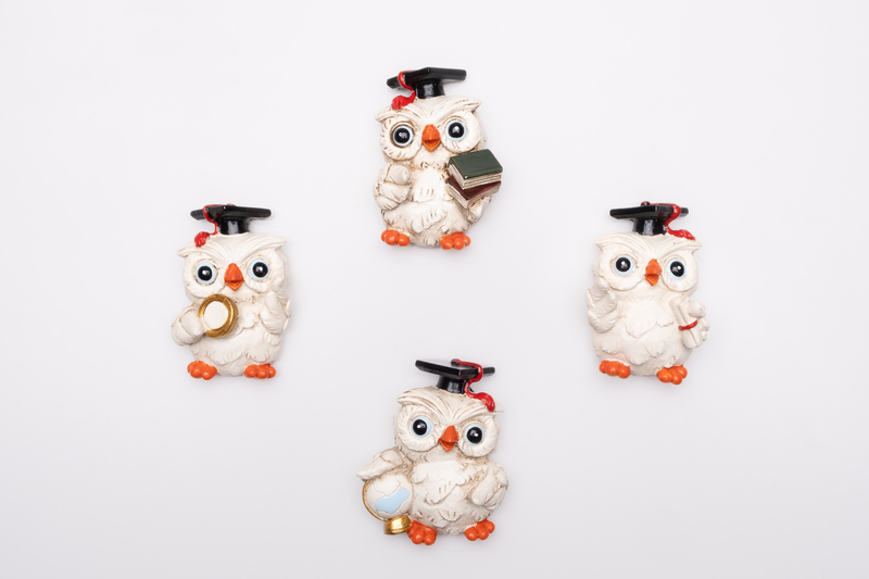 Set di 4 calamite a forma di gufetto bianco con tocco nero e libri, ideale come bomboniera per laurea e segnaposto portafortuna.