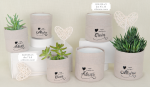 Set di bomboniere porta piante in terracotta e tessuto bianco con scritte Felicita e Gioia, decoro cuore e piantine grasse, per matrimonio e cerimonie