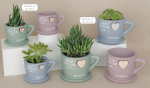 Vasetti porta piante in terracotta a forma di tazzine color pastello con decorazione a cuore e scritte motivazionali, ideali come bomboniere ecologiche per cerimonie.