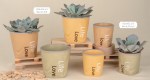 Gruppo di vasi porta piante in ceramica assortiti nei colori ocra, grigio e rosa con scritte Life e Love per bomboniere matrimonio.