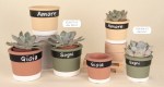 Set di vasi porta pianta in gesso bicolore rosa, giallo e grigio con scritte Amore, Gioia e Sogni per bomboniere eleganti 02a456-02a457