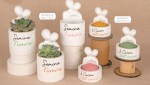 Bomboniera Porta Pianta e Porta Candela Collezione di bomboniere in ceramica bianca con scritte