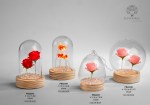 22344 - Teca in Vetro – Aiuole con Cuori / Rose Rosse / Rose Rosa – Illuminata – Campana/Sfera Vetro – Base Legno – C.Box Teca in vetro aiuola illuminata cuori rose campana sfera legno
