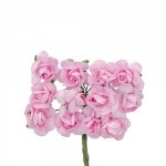CK5089ROSA 32ck508903