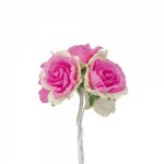 CK5099ROSA 32ck509935