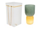 58047 - VASO VETRO LAMPADA VERDE d.12xh.23CM C/BOX-ROSE 189005 Vaso Vetro Lampada Verde 58047 d.12xh.23cm c/box-rose 189005 per bomboniere Novità 2026, ideale per atmosfere illuminate in temi romantici, da Bomboniere & Company S.r.l Siracusa.