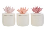 SCATOLA CORALLO 3ASS.6x6xh.8,5CM C/ASTUCCIO ABB.CANDELA 158168 Cod. 58168 da Bomboniere & Company S.r.l. Siracusa.