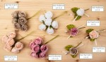B0753BIAN B0753PESC B0753ROSE B0753TORT B0754BIAN B0754PESC B0754ROSE B0754TORT b0753bian-b0753pesc-b0753rose-b0753tort-b0754bian-b0754pesc-b0754rose-b0754tort