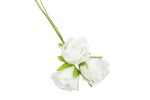 FB0219/01 fb0219-01