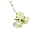 FB0219/02 fb0219-02