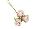 FB0219/05 fb0219-05