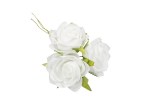 FB2227/01 fb2227-01