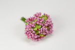 FB2314/05 fb2314---05