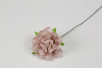 FB2325/05 fb2325---05