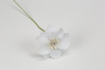FB2335/01 fb2335---01
