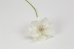 FB2335/02 fb2335---02