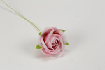 FB2337/05 fb2337---05