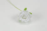 FB2345/01 fb2345---01