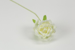 FB2345/02 fb2345---02