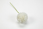 FB2406 -Fiore Ortensia Sfera Piccola Ø 4 cm Panna e Beige Fiore ortensia sfera piccola panna beige Ø 4 cm per bomboniere matrimonio e battesimo