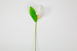 FB2409 - Fiore Tulipano con Foglia 2.5x3 cm Panna, Cipria, Rosa Malva, Bianco Fiore tulipano con foglia panna cipria rosa malva bianco 2.5x3 cm per bomboniere matrimonio battesimo