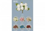 CK6168 fcck6168-cp