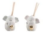 PY143/B-PY143/G py143-starimport-profelefantino-boy